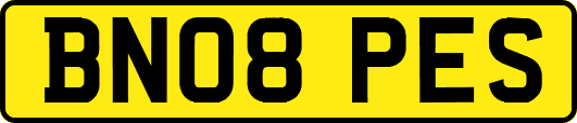 BN08PES