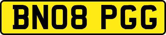 BN08PGG