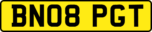 BN08PGT