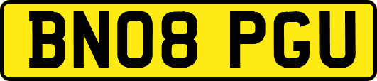 BN08PGU