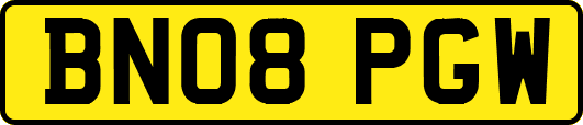 BN08PGW