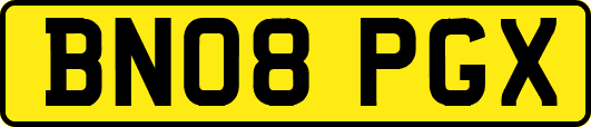 BN08PGX