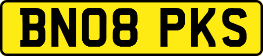 BN08PKS