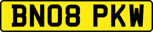 BN08PKW