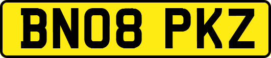 BN08PKZ