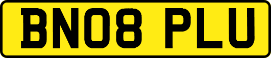 BN08PLU