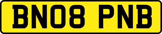 BN08PNB