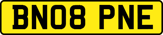 BN08PNE