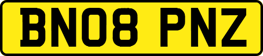 BN08PNZ