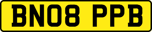 BN08PPB