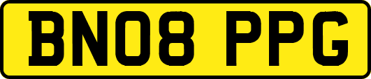 BN08PPG