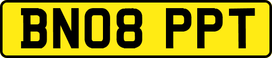 BN08PPT