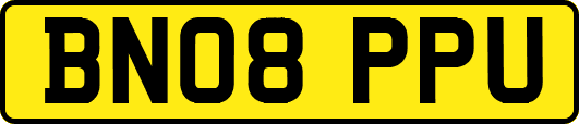 BN08PPU