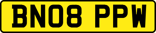 BN08PPW