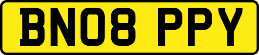 BN08PPY