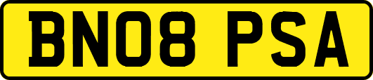BN08PSA