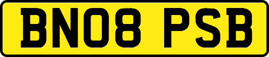 BN08PSB