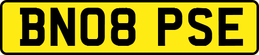 BN08PSE