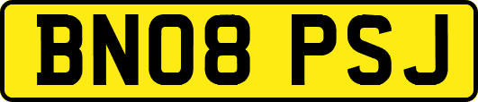 BN08PSJ