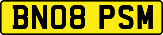 BN08PSM