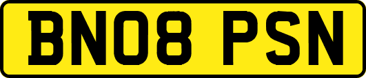 BN08PSN