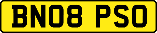BN08PSO