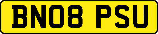 BN08PSU