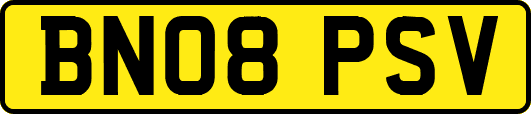 BN08PSV