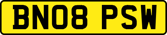 BN08PSW