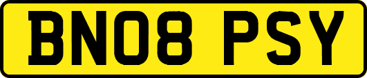 BN08PSY