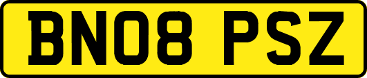 BN08PSZ