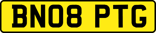 BN08PTG