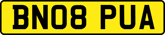 BN08PUA