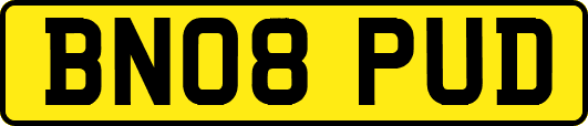 BN08PUD