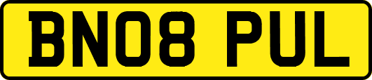 BN08PUL