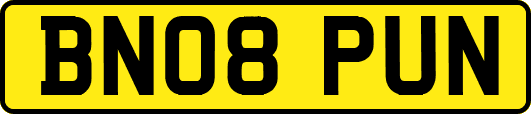 BN08PUN