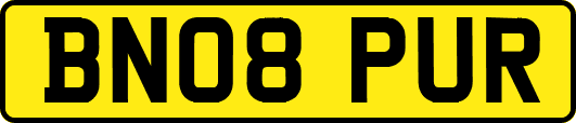 BN08PUR