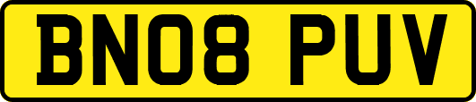 BN08PUV