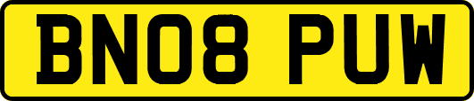BN08PUW