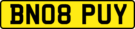BN08PUY