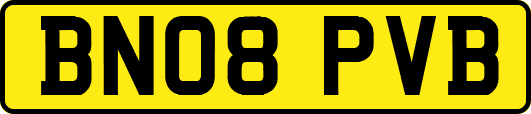 BN08PVB