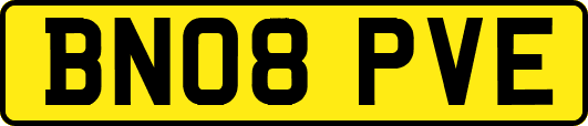 BN08PVE