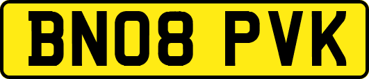 BN08PVK