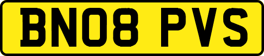 BN08PVS