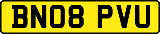 BN08PVU