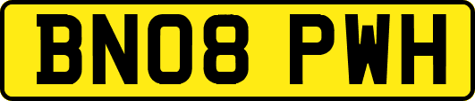 BN08PWH