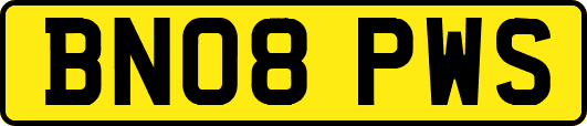 BN08PWS