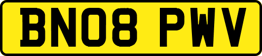 BN08PWV