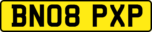 BN08PXP