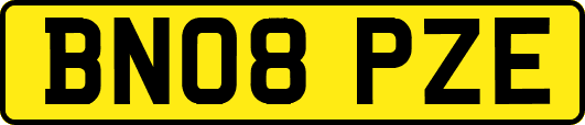 BN08PZE